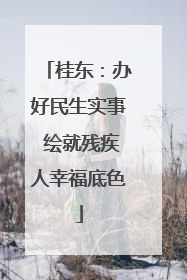 桂东：办好民生实事 绘就残疾人幸福底色