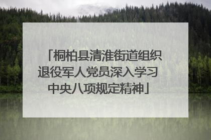 桐柏县清淮街道组织退役军人党员深入学习中央八项规定精神