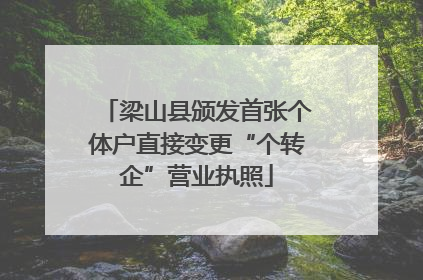梁山县颁发首张个体户直接变更“个转企”营业执照