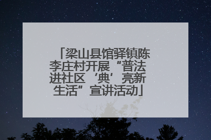 梁山县馆驿镇陈李庄村开展“普法进社区‘典’亮新生活”宣讲活动