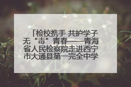 检校携手 共护学子无“毒”青春——青海省人民检察院走进西宁市大通县第一完全中学开展禁毒宣传侧记