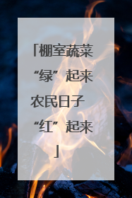棚室蔬菜“绿”起来 农民日子“红”起来