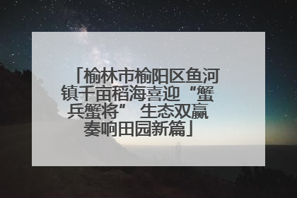 榆林市榆阳区鱼河镇千亩稻海喜迎“蟹兵蟹将” 生态双赢奏响田园新篇
