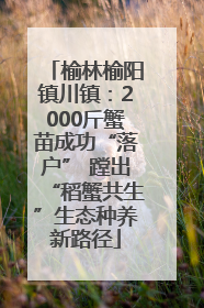 榆林榆阳镇川镇：2000斤蟹苗成功“落户” 蹚出“稻蟹共生”生态种养新路径