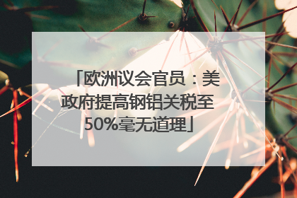 欧洲议会官员：美政府提高钢铝关税至50%毫无道理