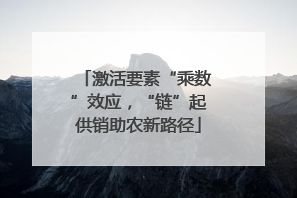 激活要素“乘数”效应，“链”起供销助农新路径