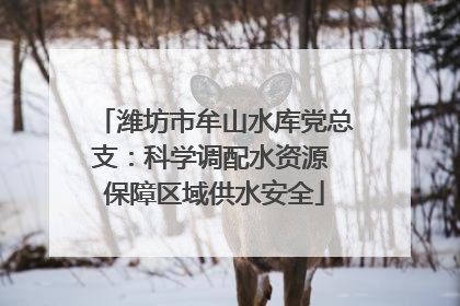 潍坊市牟山水库党总支：科学调配水资源 保障区域供水安全