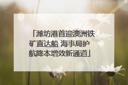 潍坊港首迎澳洲铁矿直达船 海事局护航降本增效新通道