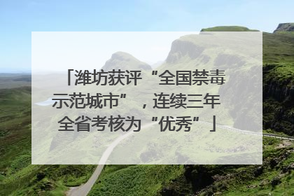 潍坊获评“全国禁毒示范城市”，连续三年全省考核为“优秀”