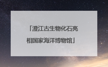 澄江古生物化石亮相国家海洋博物馆