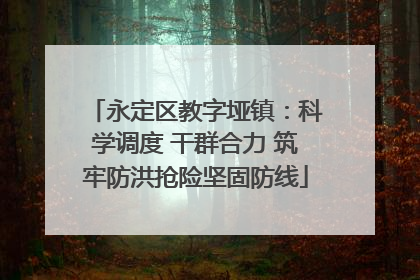 永定区教字垭镇：科学调度 干群合力 筑牢防洪抢险坚固防线