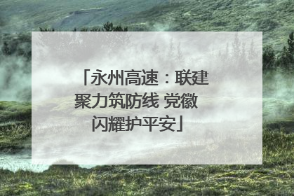 永州高速：联建聚力筑防线 党徽闪耀护平安