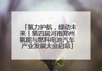 氢力护航，绿动未来丨第四届河南郑州氢能与燃料电池汽车产业发展大会启幕