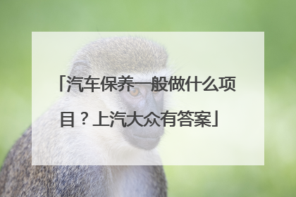 汽车保养一般做什么项目？上汽大众有答案