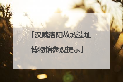 汉魏洛阳故城遗址博物馆参观提示