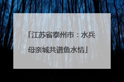 江苏省泰州市：水兵母亲城共谱鱼水情
