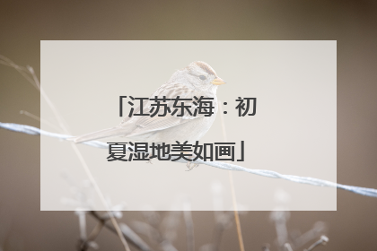 江苏东海：初夏湿地美如画