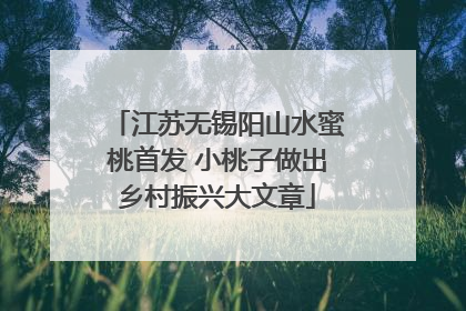 江苏无锡阳山水蜜桃首发 小桃子做出乡村振兴大文章