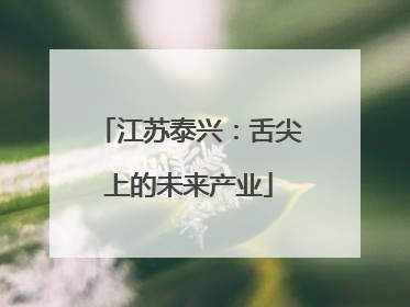 江苏泰兴：舌尖上的未来产业