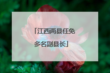 江西两县任免多名副县长