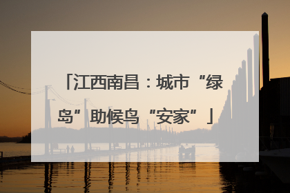 江西南昌：城市“绿岛”助候鸟“安家”