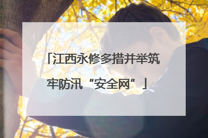 江西永修多措并举筑牢防汛“安全网”