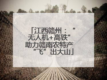 江西赣州：“无人机+高铁”助力赣南农特产“飞”出大山