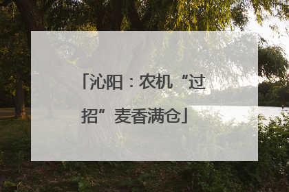 沁阳：农机“过招”麦香满仓
