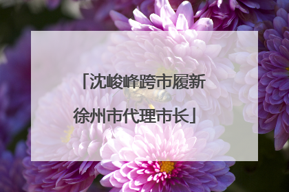 沈峻峰跨市履新徐州市代理市长