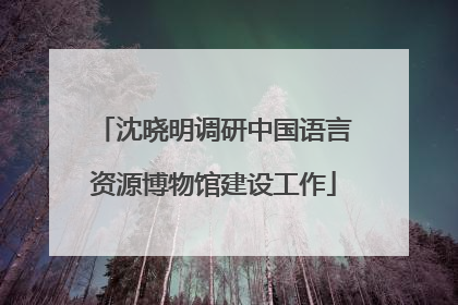 沈晓明调研中国语言资源博物馆建设工作