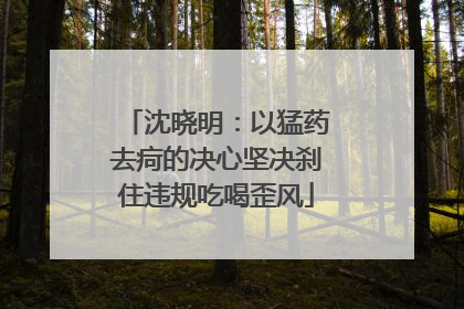 沈晓明：以猛药去疴的决心坚决刹住违规吃喝歪风