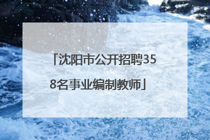 沈阳市公开招聘358名事业编制教师