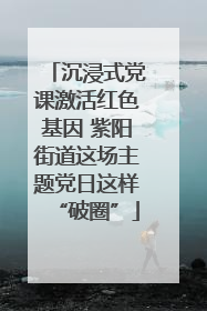 沉浸式党课激活红色基因 紫阳街道这场主题党日这样“破圈”