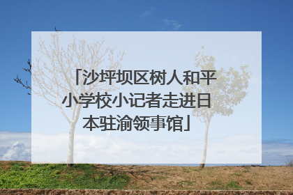 沙坪坝区树人和平小学校小记者走进日本驻渝领事馆