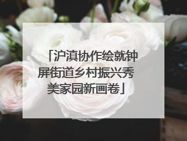 沪滇协作绘就钟屏街道乡村振兴秀美家园新画卷