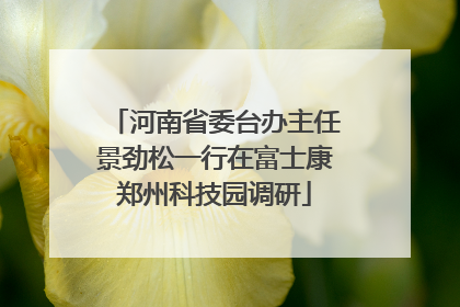 河南省委台办主任景劲松一行在富士康郑州科技园调研