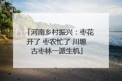 河南乡村振兴：枣花开了 枣农忙了 川塬古枣林一派生机