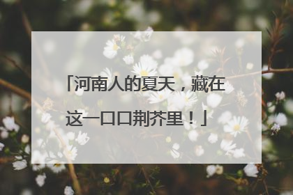 河南人的夏天，藏在这一口口荆芥里！