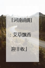 河南南阳：艾草飘香迎丰收