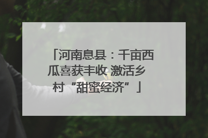 河南息县：千亩西瓜喜获丰收 激活乡村“甜蜜经济”