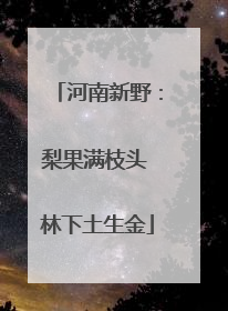 河南新野：梨果满枝头 林下土生金