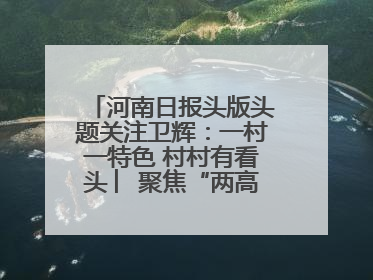 河南日报头版头题关注卫辉：一村一特色 村村有看头 ︳聚焦“两高四着力”·一“县”观察