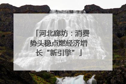 河北廊坊：消费势头稳点燃经济增长“新引擎”