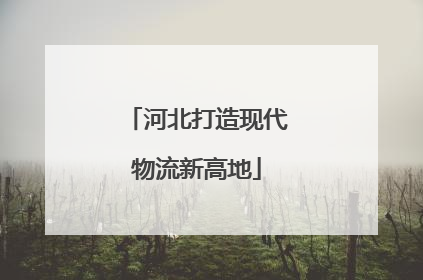 河北打造现代物流新高地