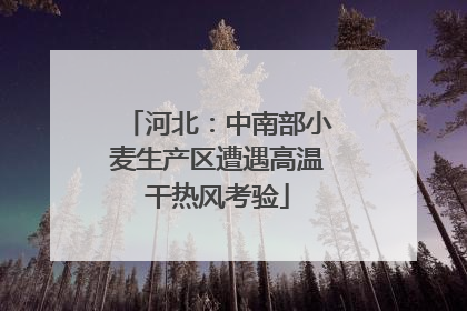 河北：中南部小麦生产区遭遇高温干热风考验