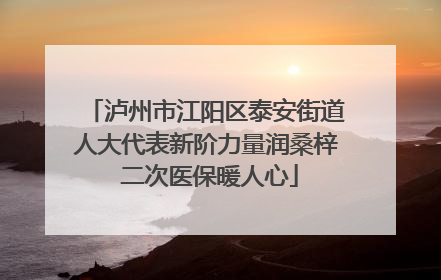 泸州市江阳区泰安街道人大代表新阶力量润桑梓 二次医保暖人心