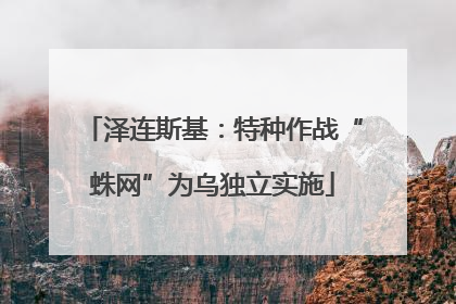 泽连斯基：特种作战“蛛网”为乌独立实施