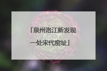 泉州洛江新发现一处宋代窑址