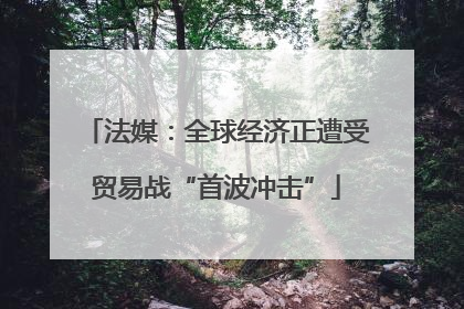 法媒：全球经济正遭受贸易战“首波冲击”