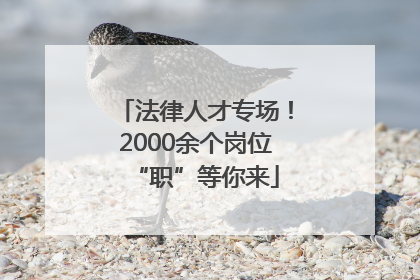 法律人才专场！2000余个岗位“职”等你来